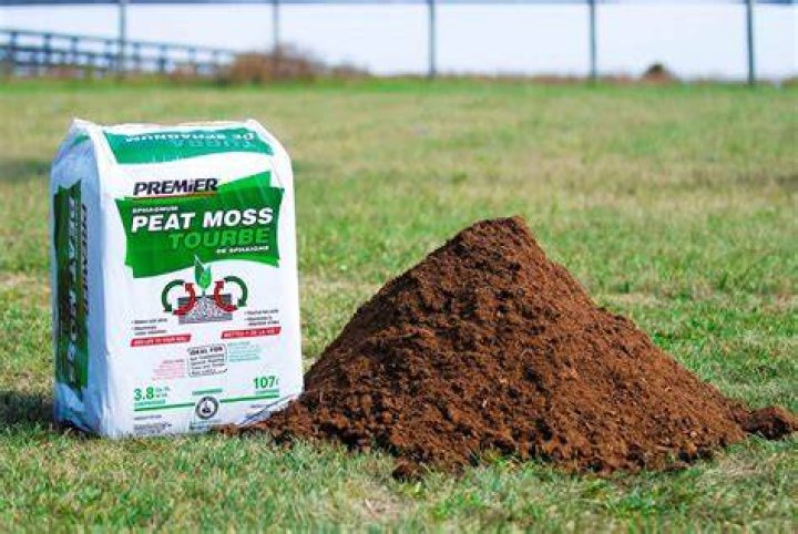 How do you grow grass with peat moss