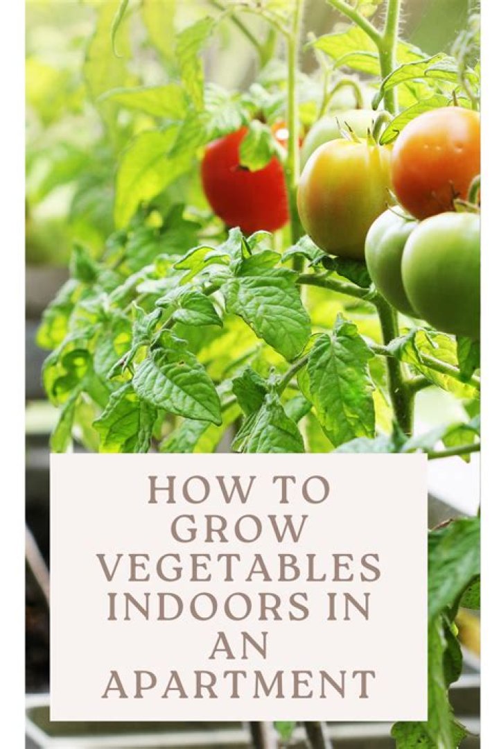 How do you grow pre grown vegetables