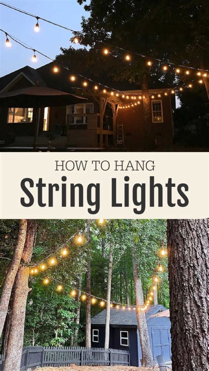 How do you hang lights on a net tree