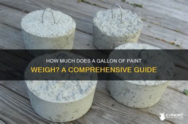 How much does an empty paint can weigh